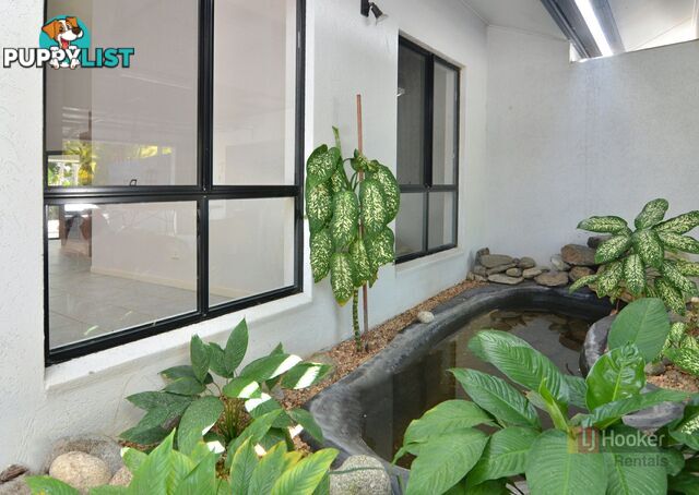 13 Birdwing Street PORT DOUGLAS QLD 4877