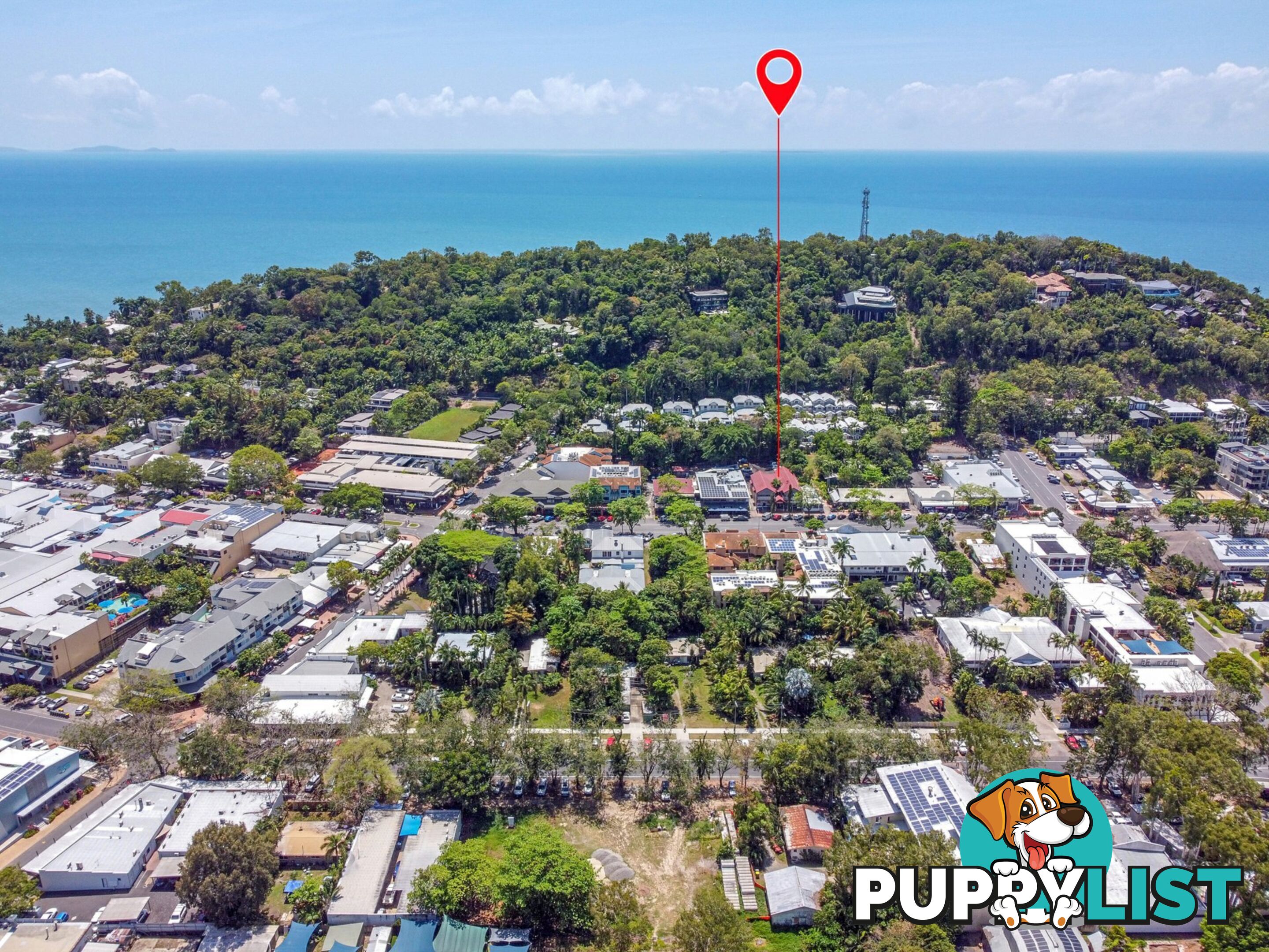 Shop 8/40 Macrossan Street PORT DOUGLAS QLD 4877