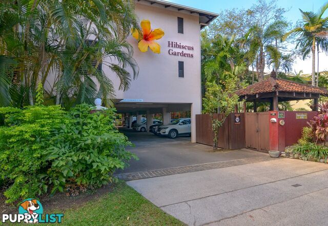 25 Hibiscus Gardens/22-24 Owen Street PORT DOUGLAS QLD 4877