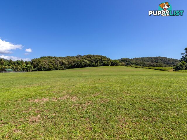 Lot Lot 4/364 Whyanbeel Road WHYANBEEL QLD 4873