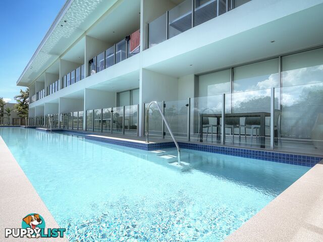 Pool Port Douglas - 3 Bed/19 St Crispins Avenue PORT DOUGLAS QLD 4877