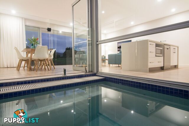 Pool Port Douglas - 3 Bed/19 St Crispins Avenue PORT DOUGLAS QLD 4877