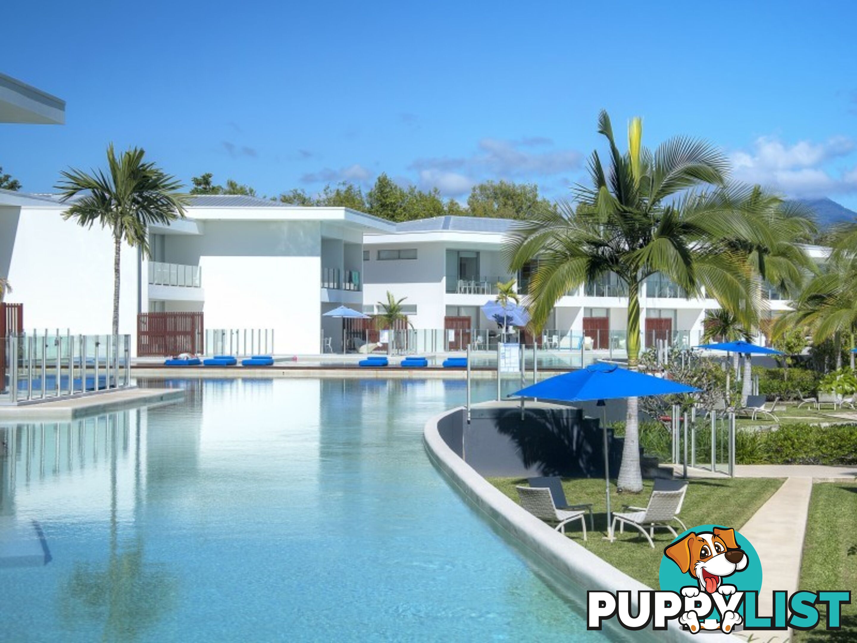 Pool Port Douglas - 3 Bed/19 St Crispins Avenue PORT DOUGLAS QLD 4877