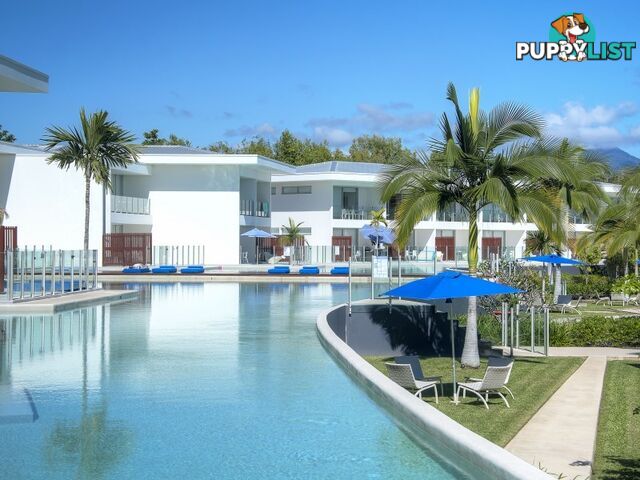 Pool Port Douglas - 3 Bed/19 St Crispins Avenue PORT DOUGLAS QLD 4877