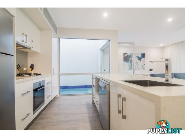 Pool Port Douglas - 3 Bed/19 St Crispins Avenue PORT DOUGLAS QLD 4877