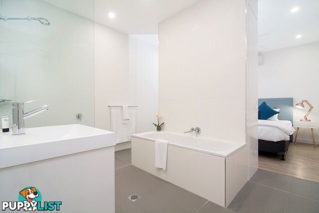 Pool Port Douglas - 3 Bed/19 St Crispins Avenue PORT DOUGLAS QLD 4877