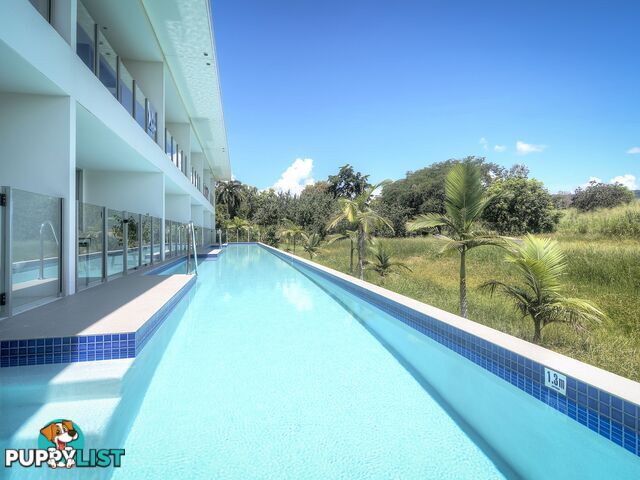 Pool Port Douglas - 3 Bed/19 St Crispins Avenue PORT DOUGLAS QLD 4877