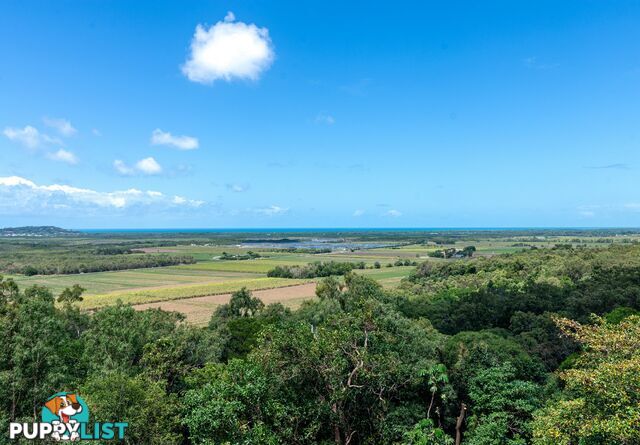 68 Ocean View Drive Ridge Estate PORT DOUGLAS QLD 4877