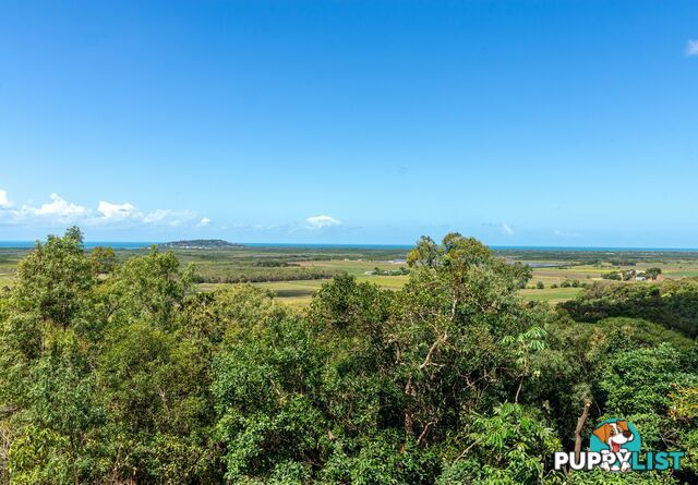 68 Ocean View Drive Ridge Estate PORT DOUGLAS QLD 4877