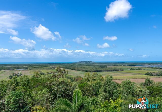 68 Ocean View Drive Ridge Estate PORT DOUGLAS QLD 4877