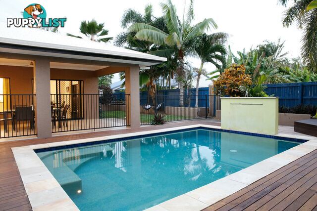 42 Brolga Street PORT DOUGLAS QLD 4877