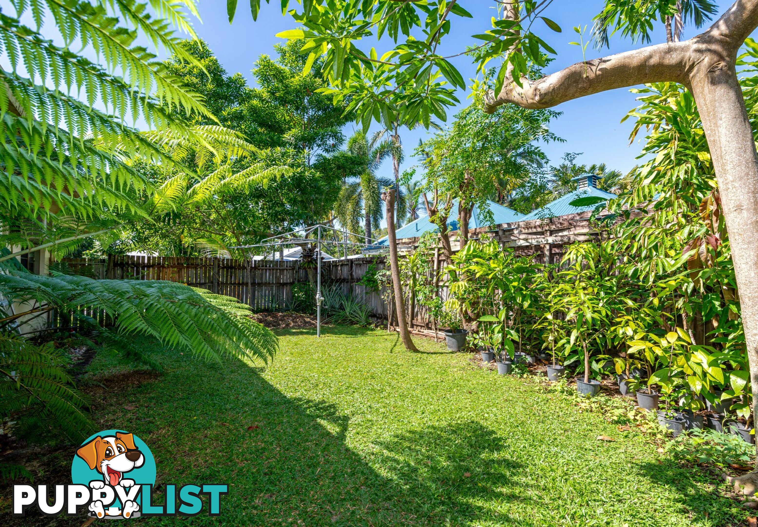 1 & 2/3 Coral Drive PORT DOUGLAS QLD 4877