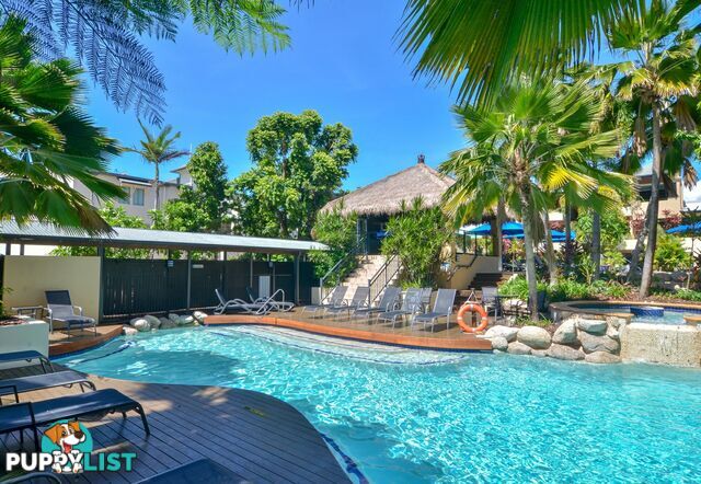 33/21 Macrossan Street PORT DOUGLAS QLD 4877