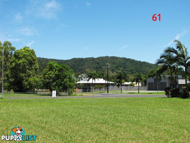 59 Snapper Island Drive WONGA BEACH QLD 4873