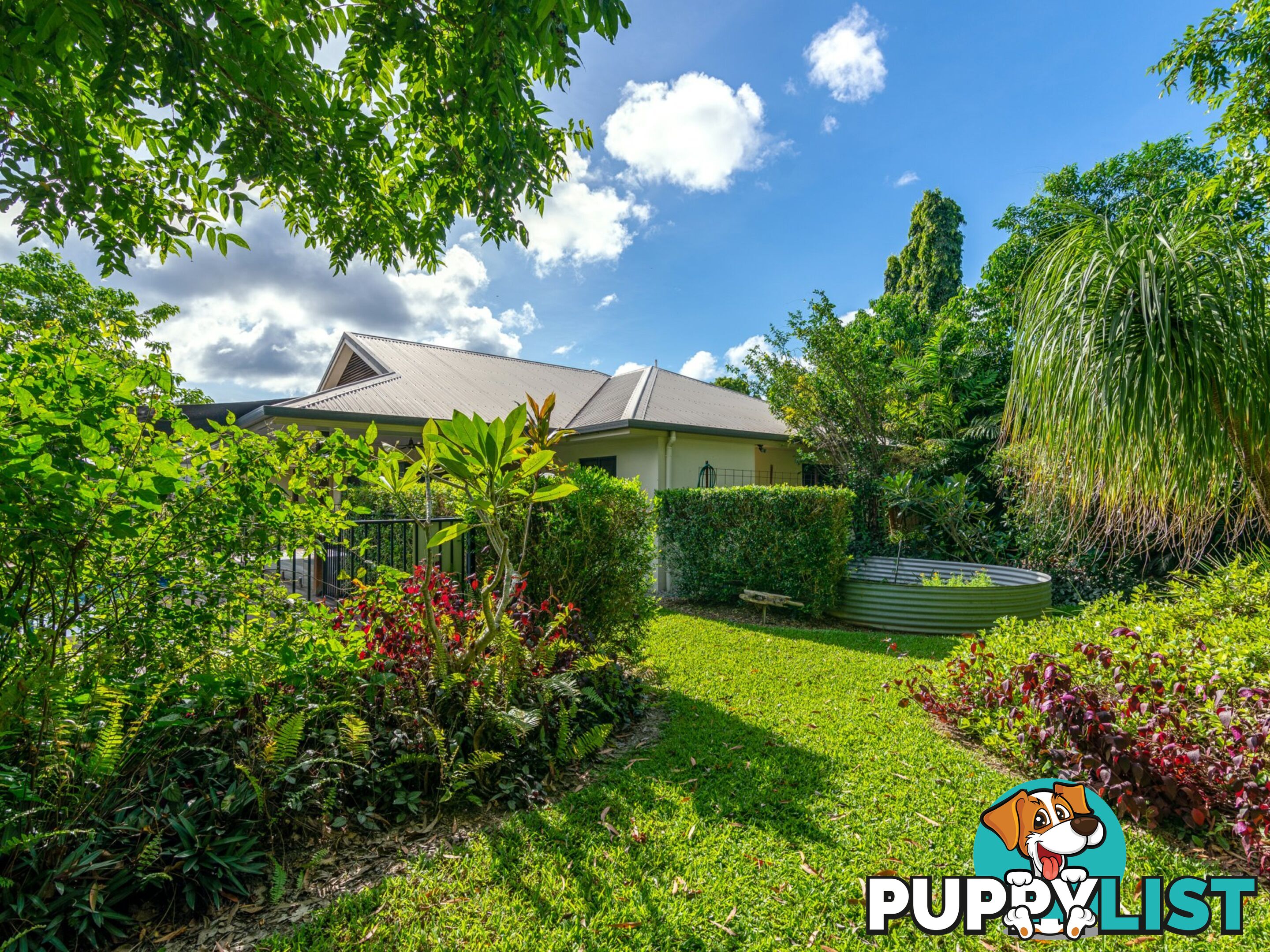 10 Corella Street PORT DOUGLAS QLD 4877