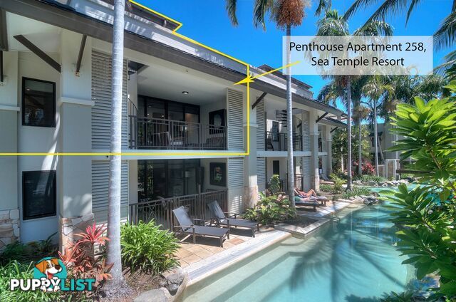 258 Sea Temple/22 Mitre Street PORT DOUGLAS QLD 4877