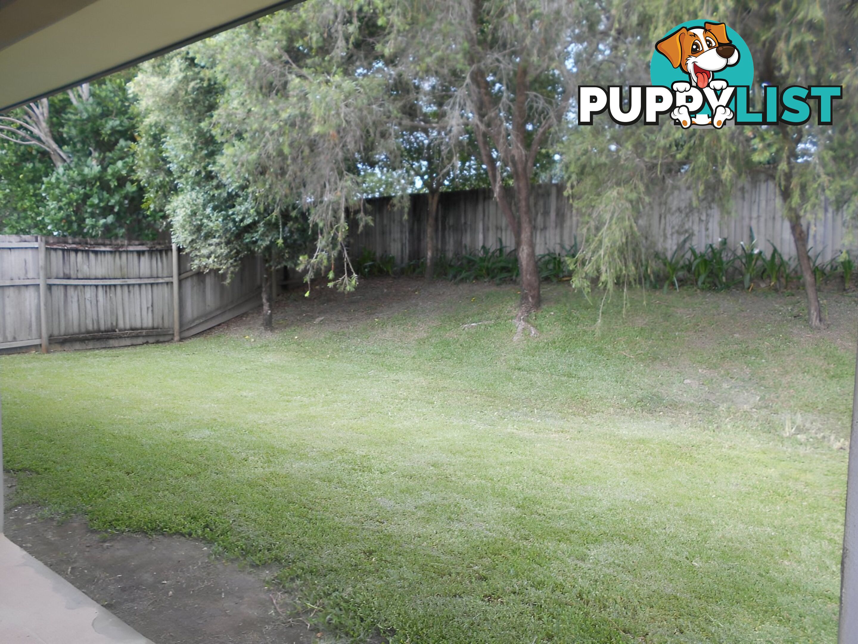 49 Brolga Street PORT DOUGLAS QLD 4877