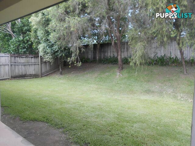 49 Brolga Street PORT DOUGLAS QLD 4877