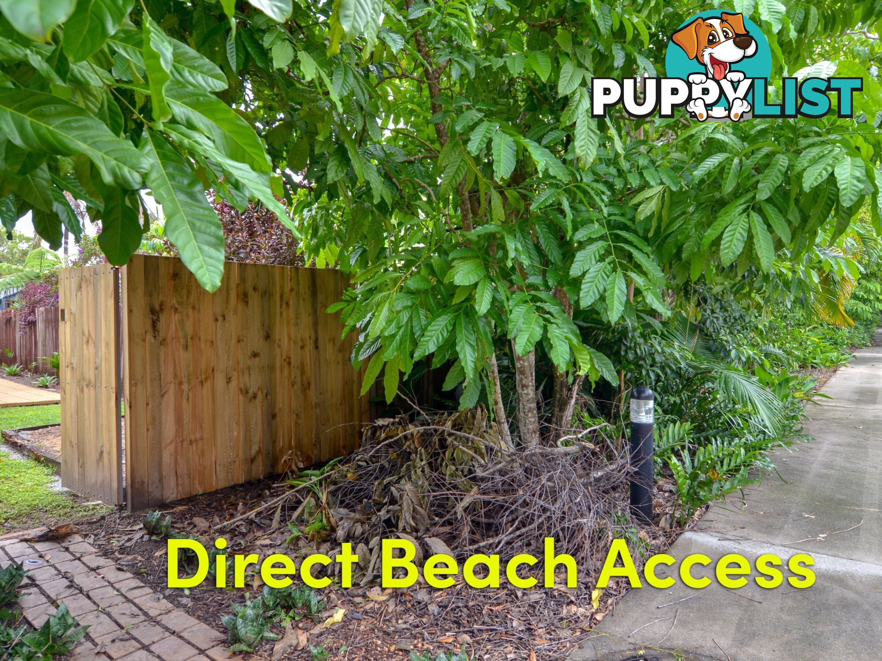 14 Limpet Avenue PORT DOUGLAS QLD 4877