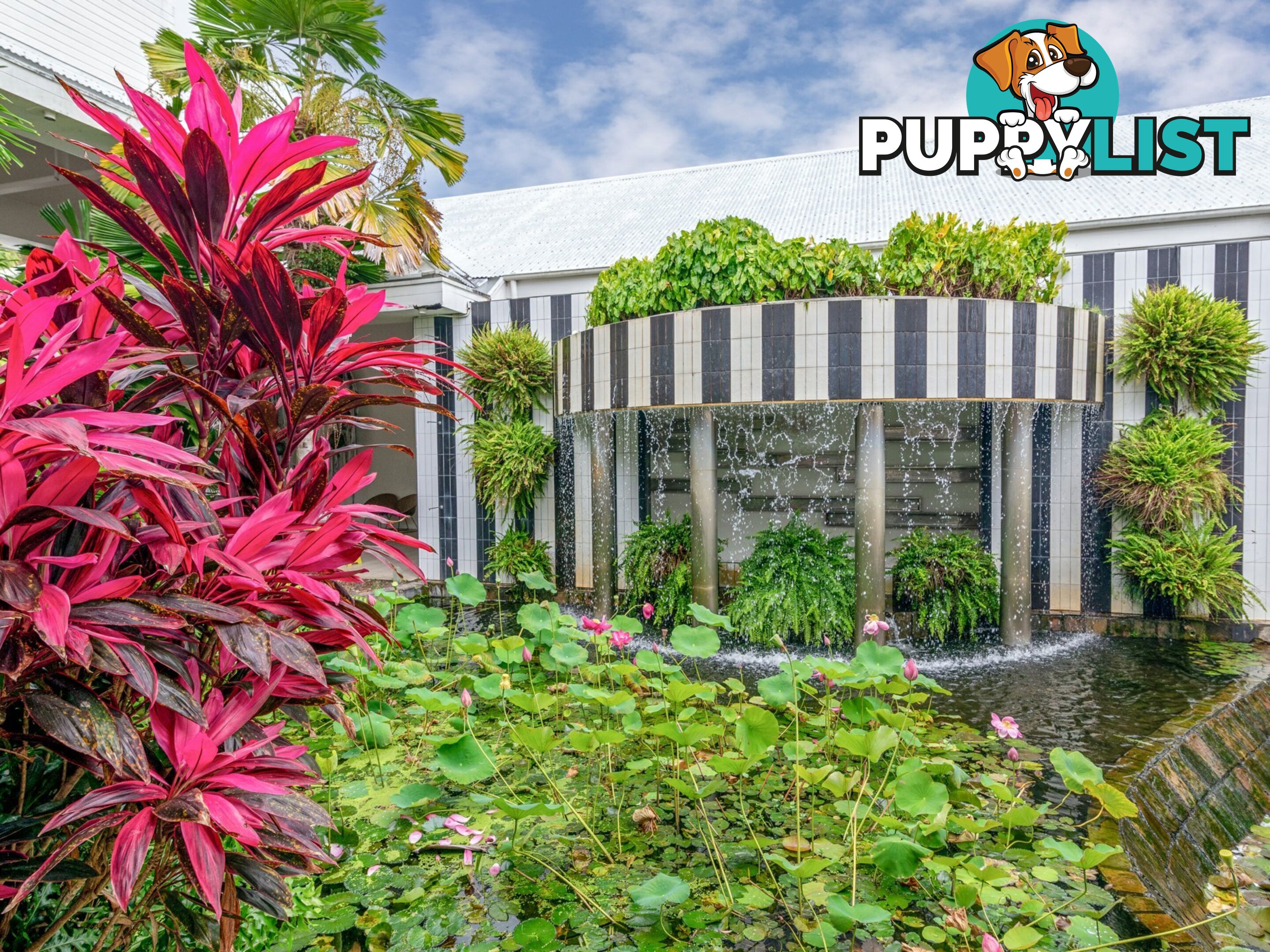 3108/87-109 Port Douglas Road PORT DOUGLAS QLD 4877