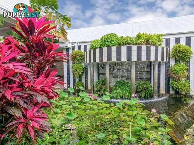 3108/87-109 Port Douglas Road PORT DOUGLAS QLD 4877