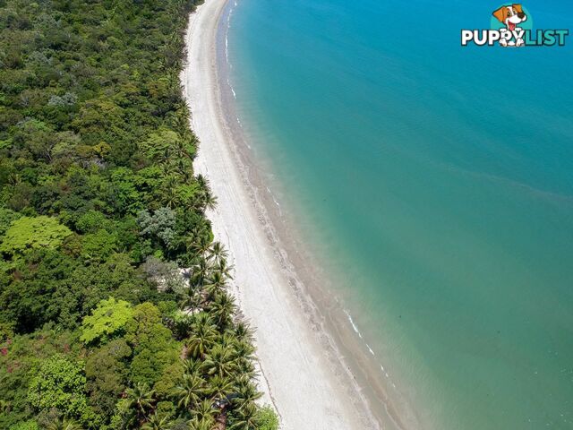 3 Baler Street PORT DOUGLAS QLD 4877