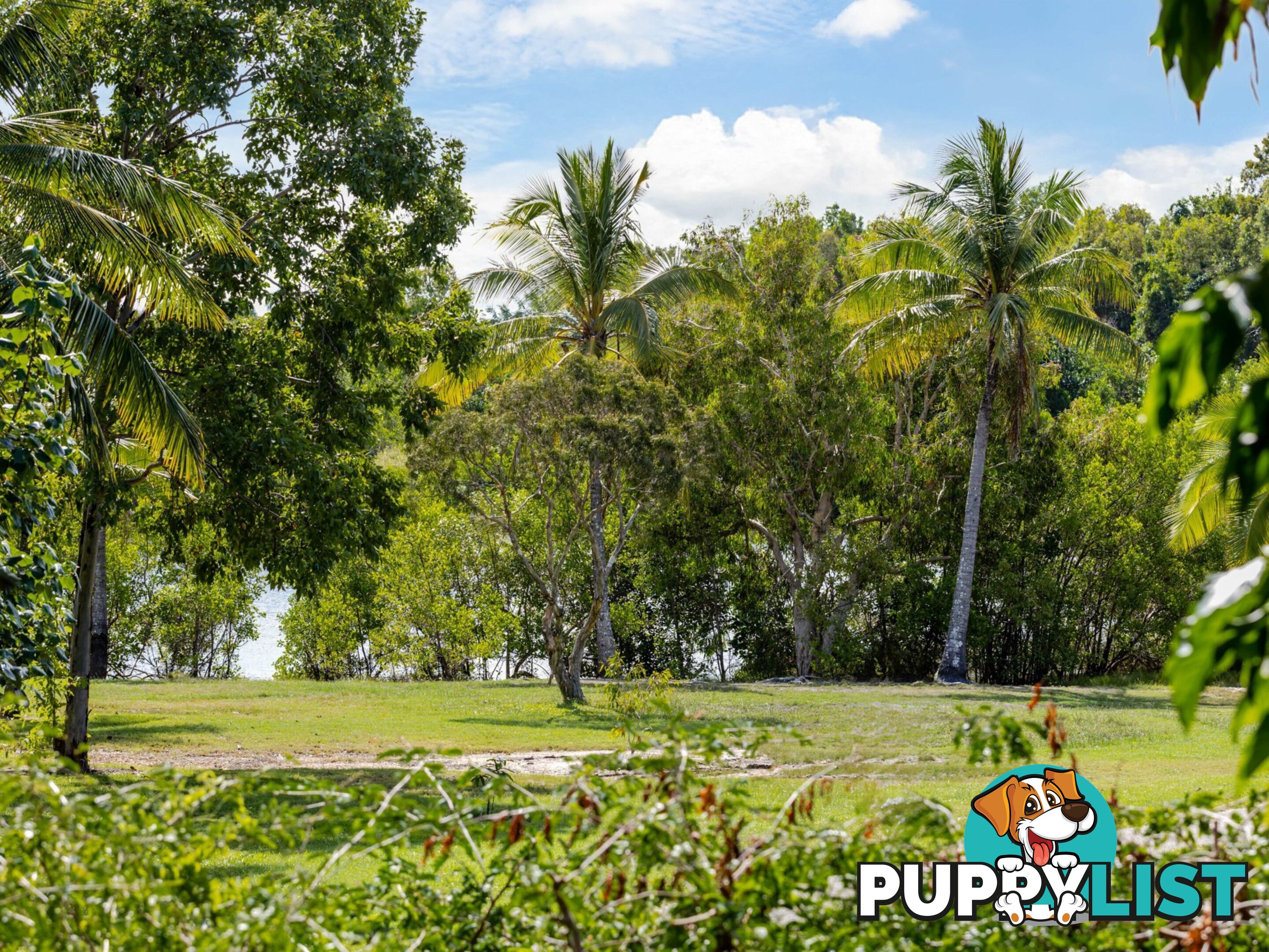 21 Opal Street PORT DOUGLAS QLD 4877