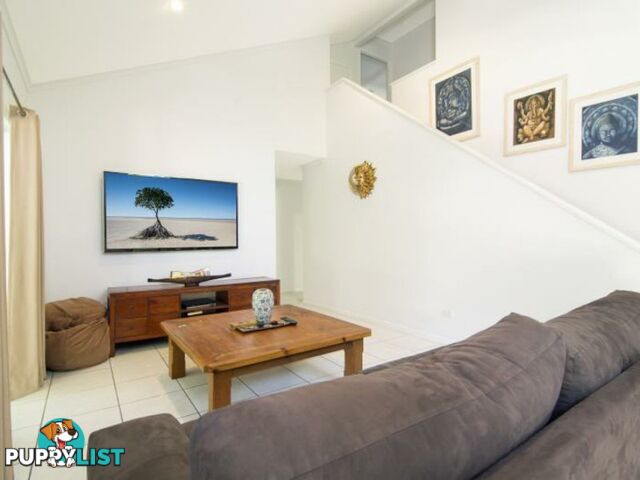 13 Fronds/33 Nautilus Street PORT DOUGLAS QLD 4877