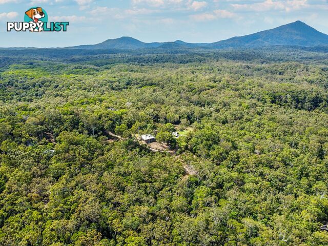 4261 Black Mountain Road JULATTEN QLD 4871