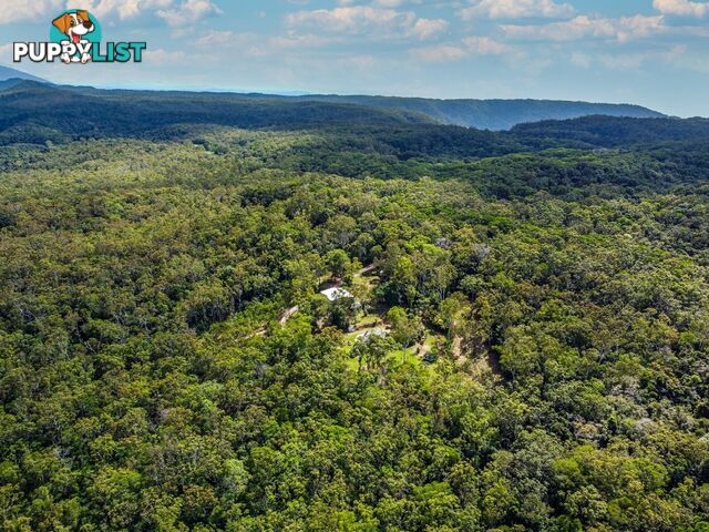 4261 Black Mountain Road JULATTEN QLD 4871