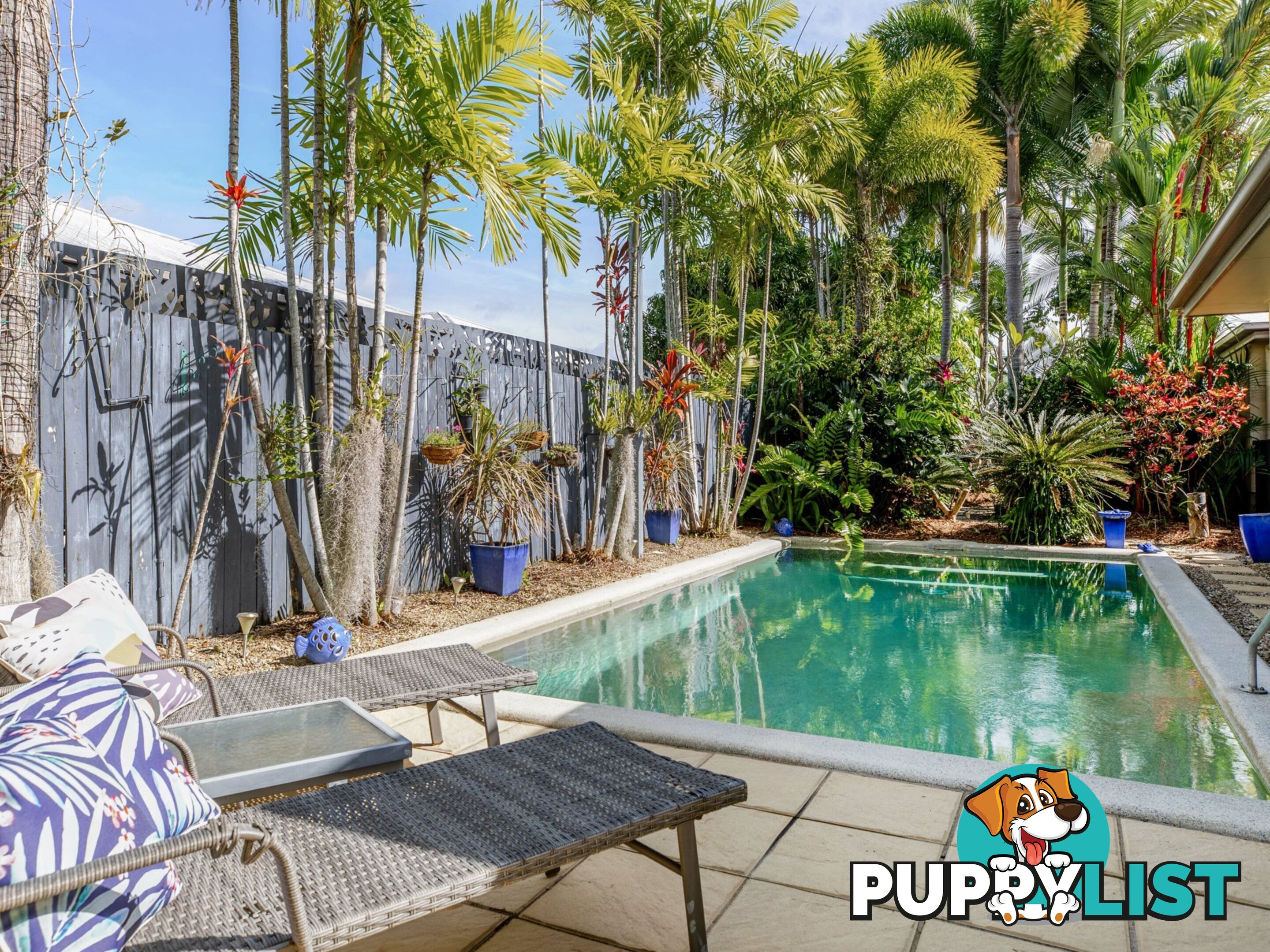 6 Shearwater Street PORT DOUGLAS QLD 4877