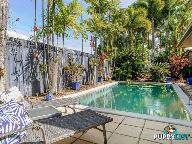 6 Shearwater Street PORT DOUGLAS QLD 4877
