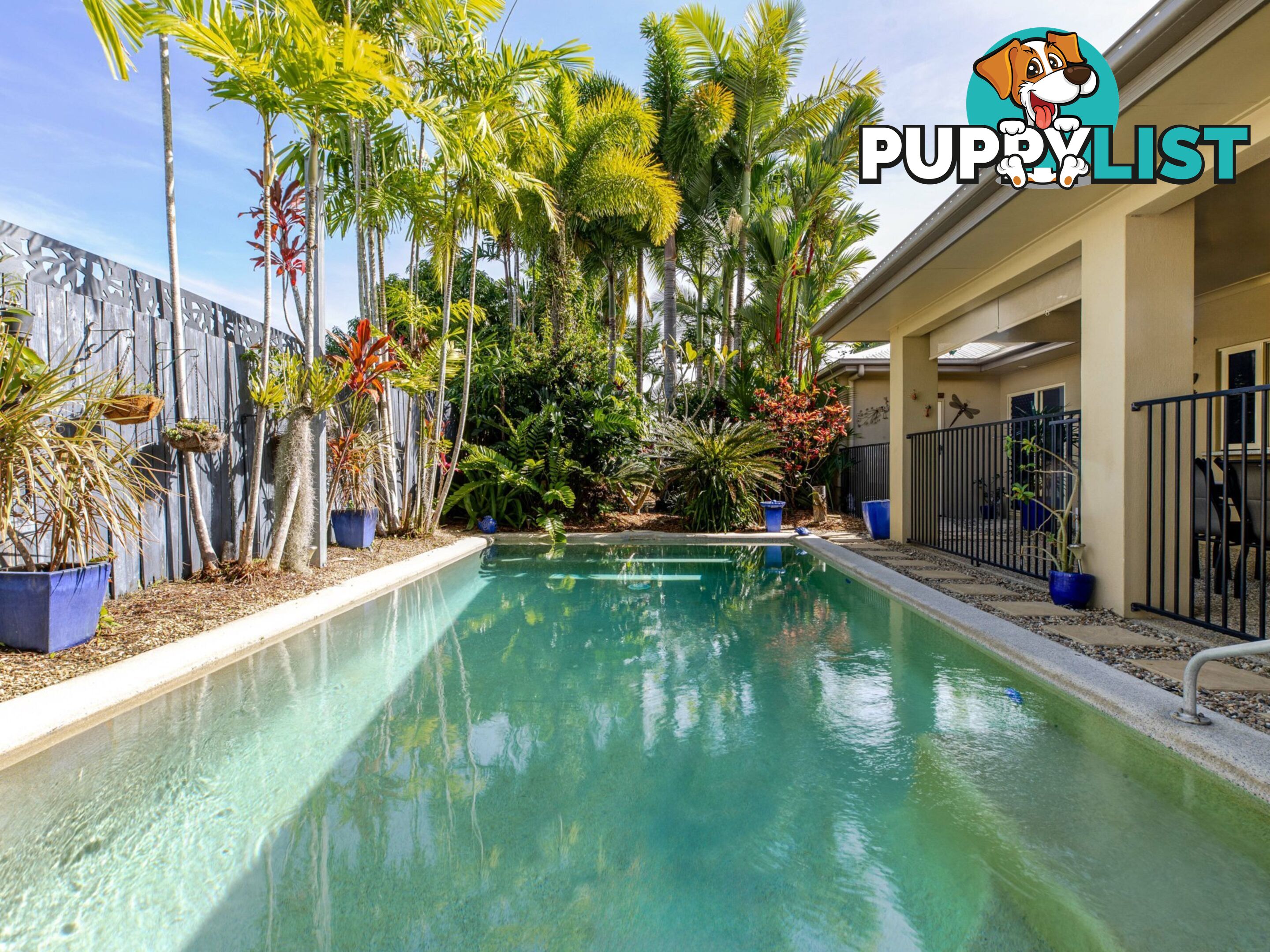 6 Shearwater Street PORT DOUGLAS QLD 4877