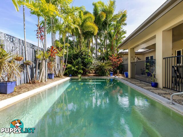 6 Shearwater Street PORT DOUGLAS QLD 4877