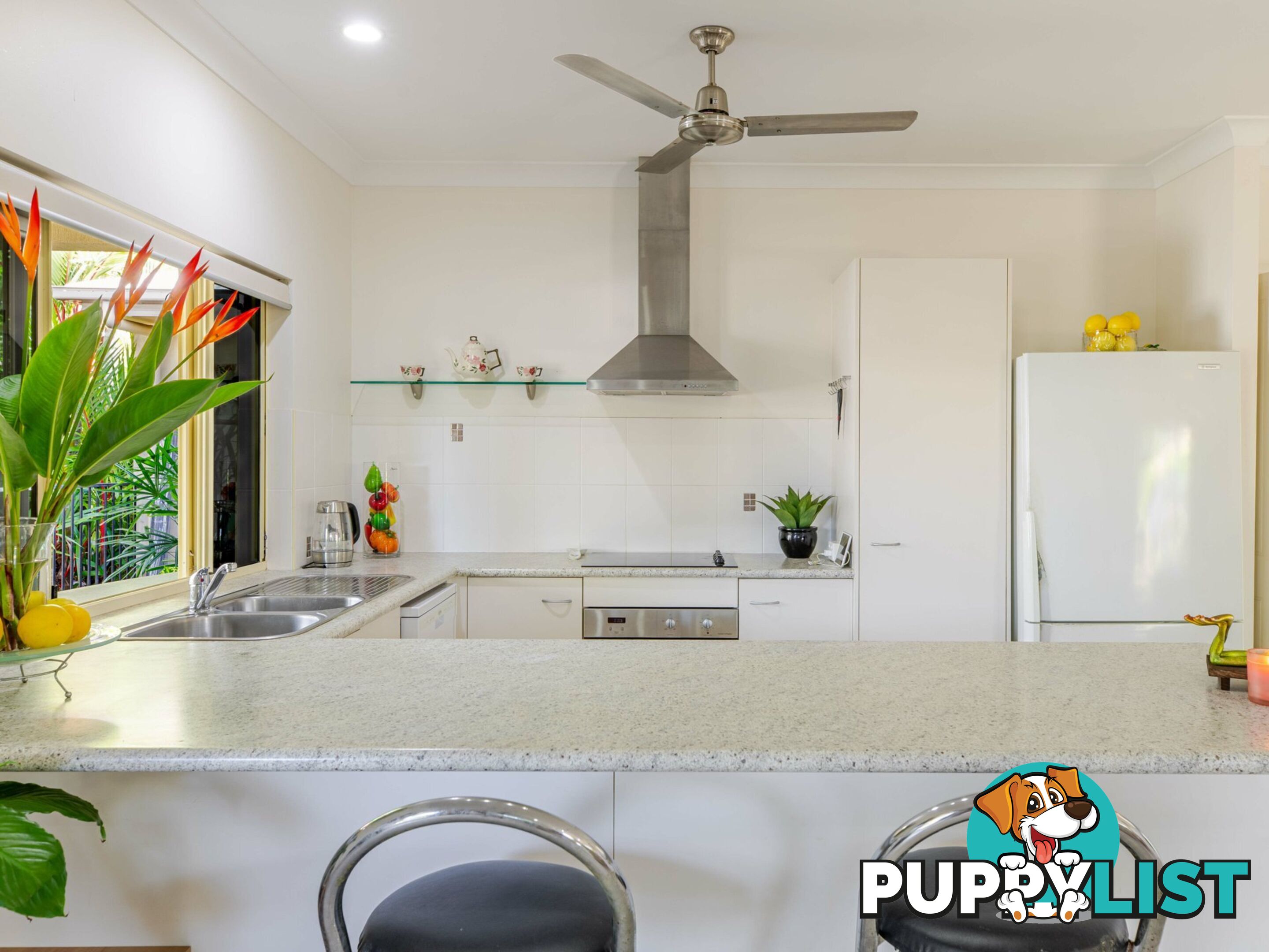 6 Shearwater Street PORT DOUGLAS QLD 4877