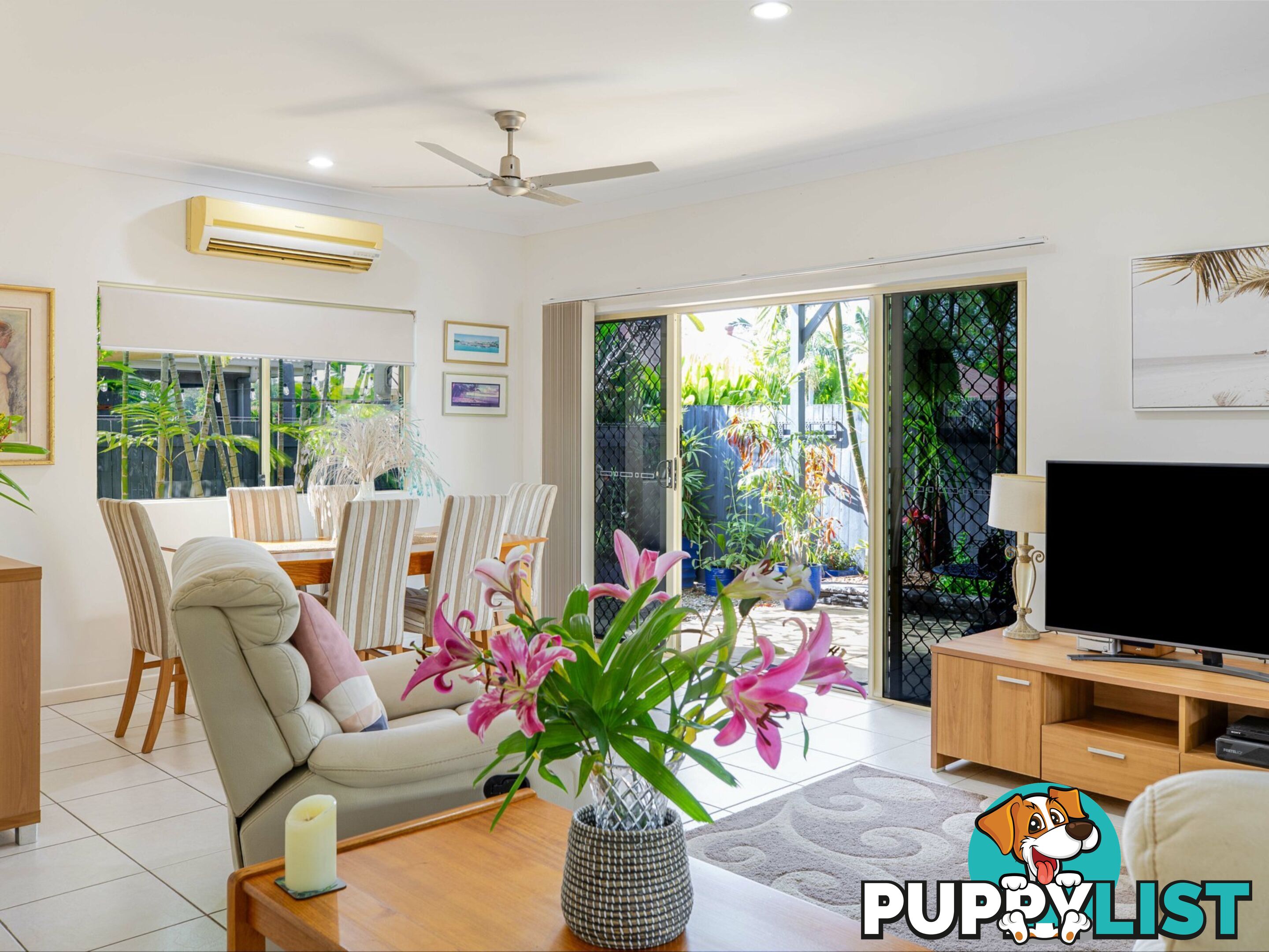 6 Shearwater Street PORT DOUGLAS QLD 4877