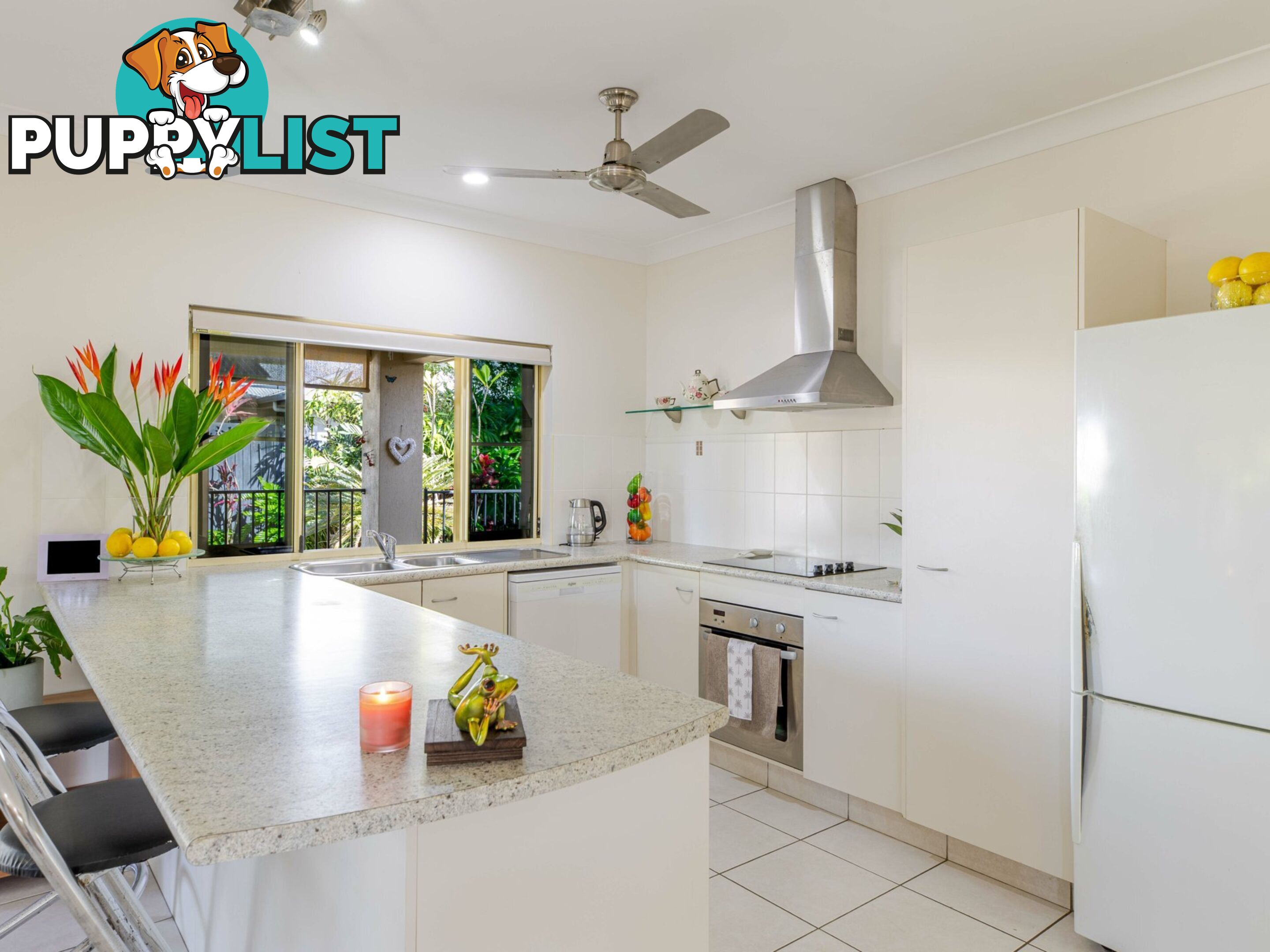 6 Shearwater Street PORT DOUGLAS QLD 4877