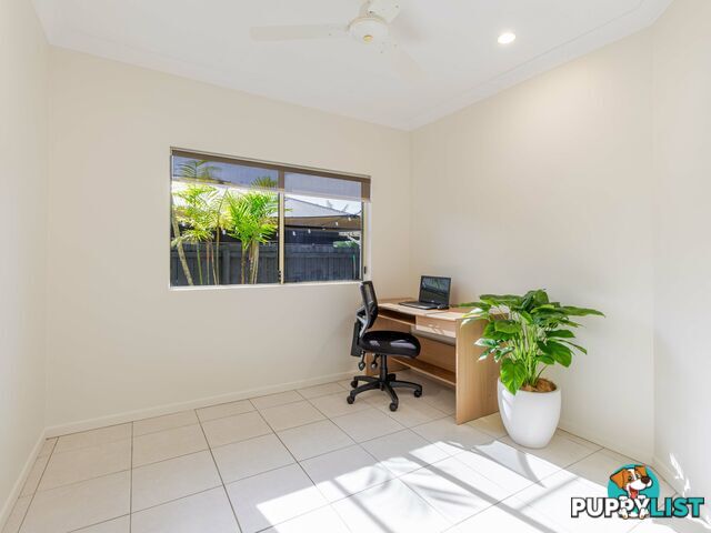6 Shearwater Street PORT DOUGLAS QLD 4877
