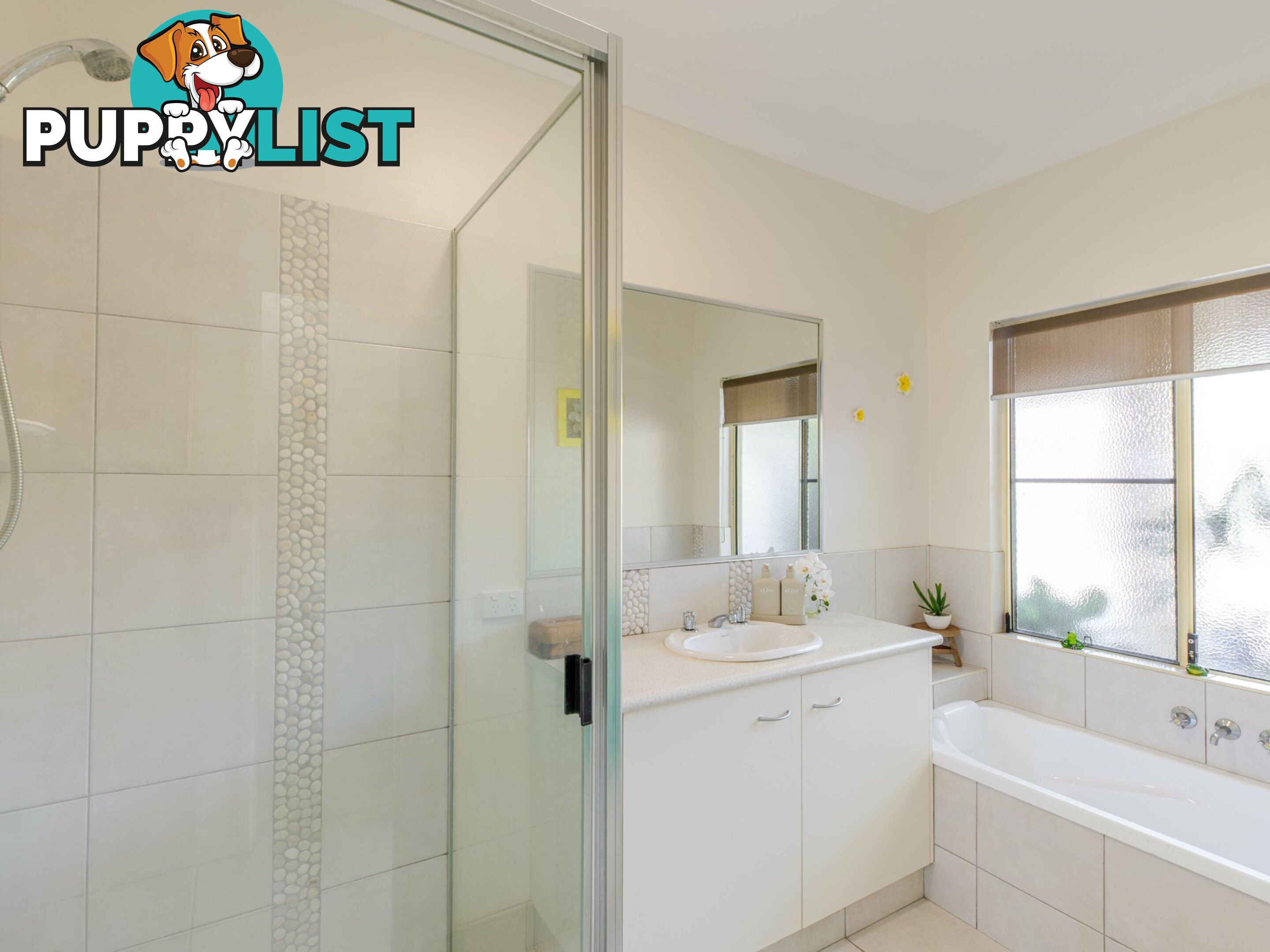 6 Shearwater Street PORT DOUGLAS QLD 4877