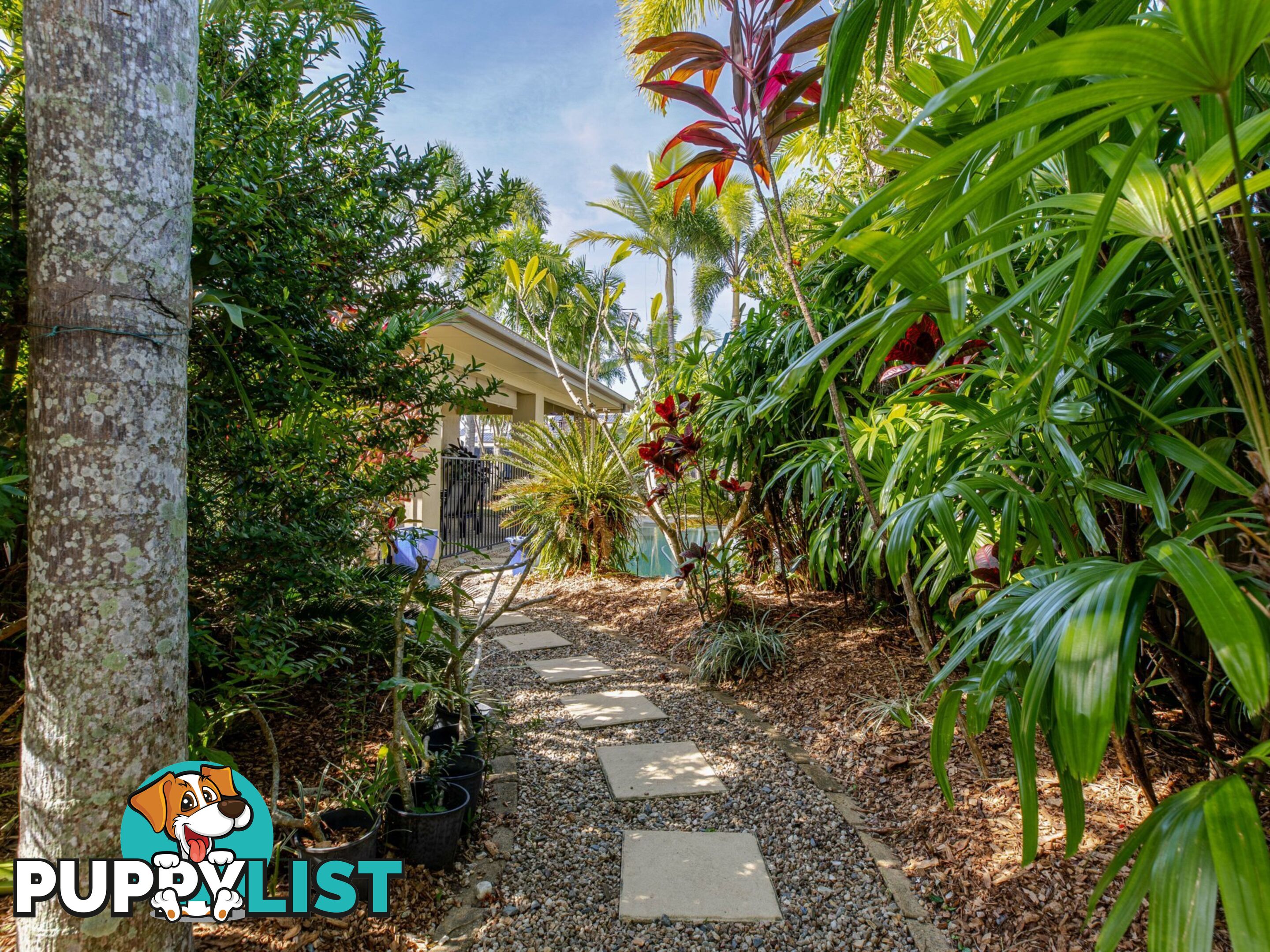 6 Shearwater Street PORT DOUGLAS QLD 4877