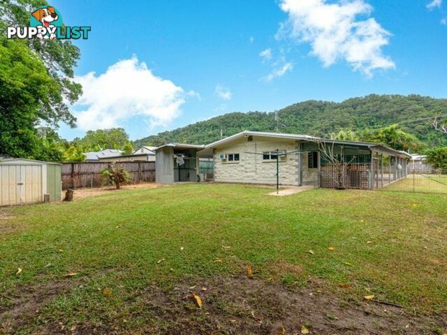 37 Kalkuri Close WONGA BEACH QLD 4873