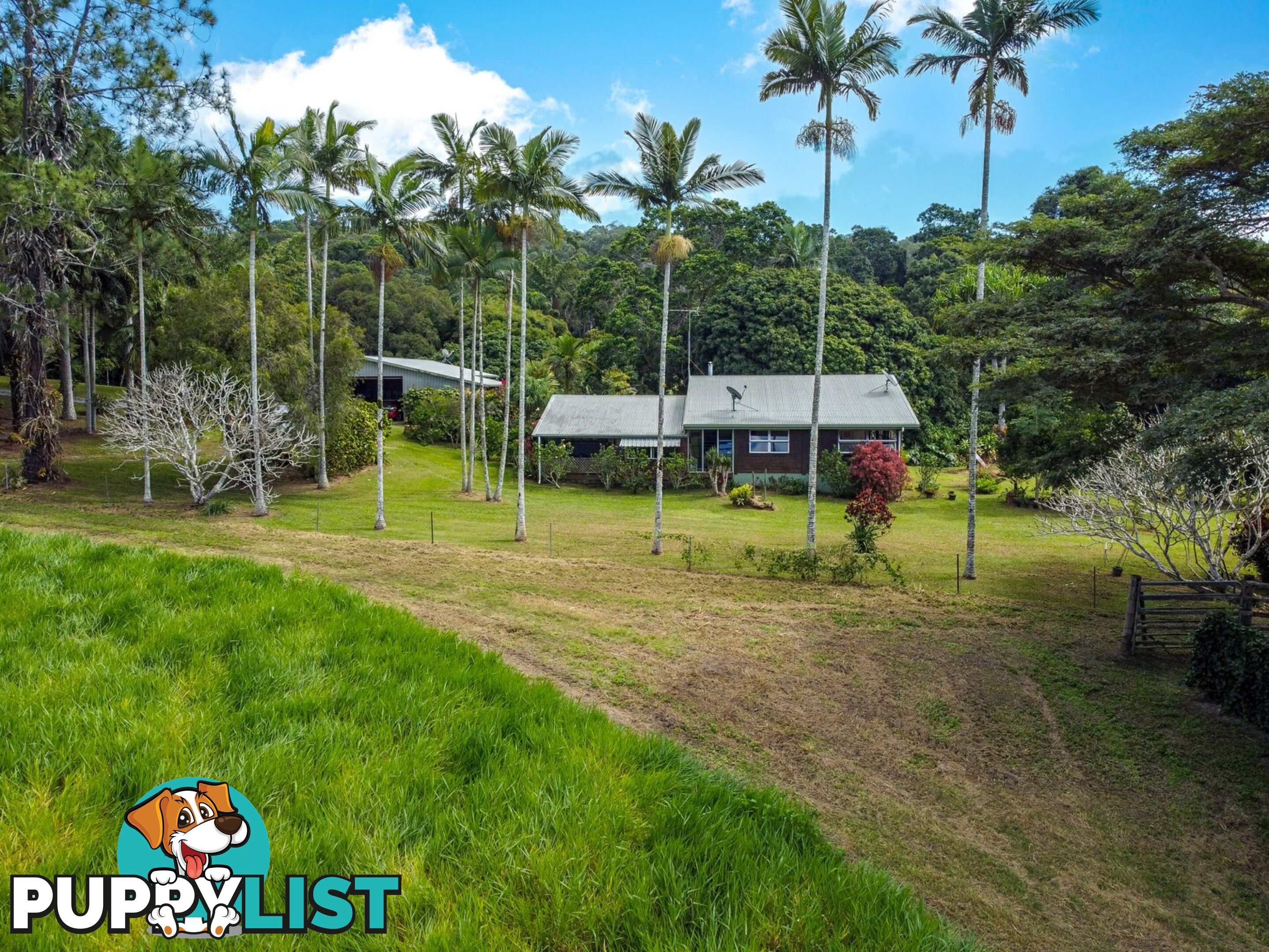 4414 Black Mountain Road JULATTEN QLD 4871