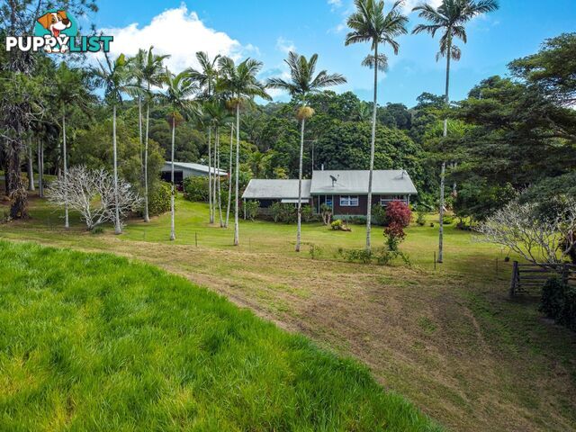 4414 Black Mountain Road JULATTEN QLD 4871