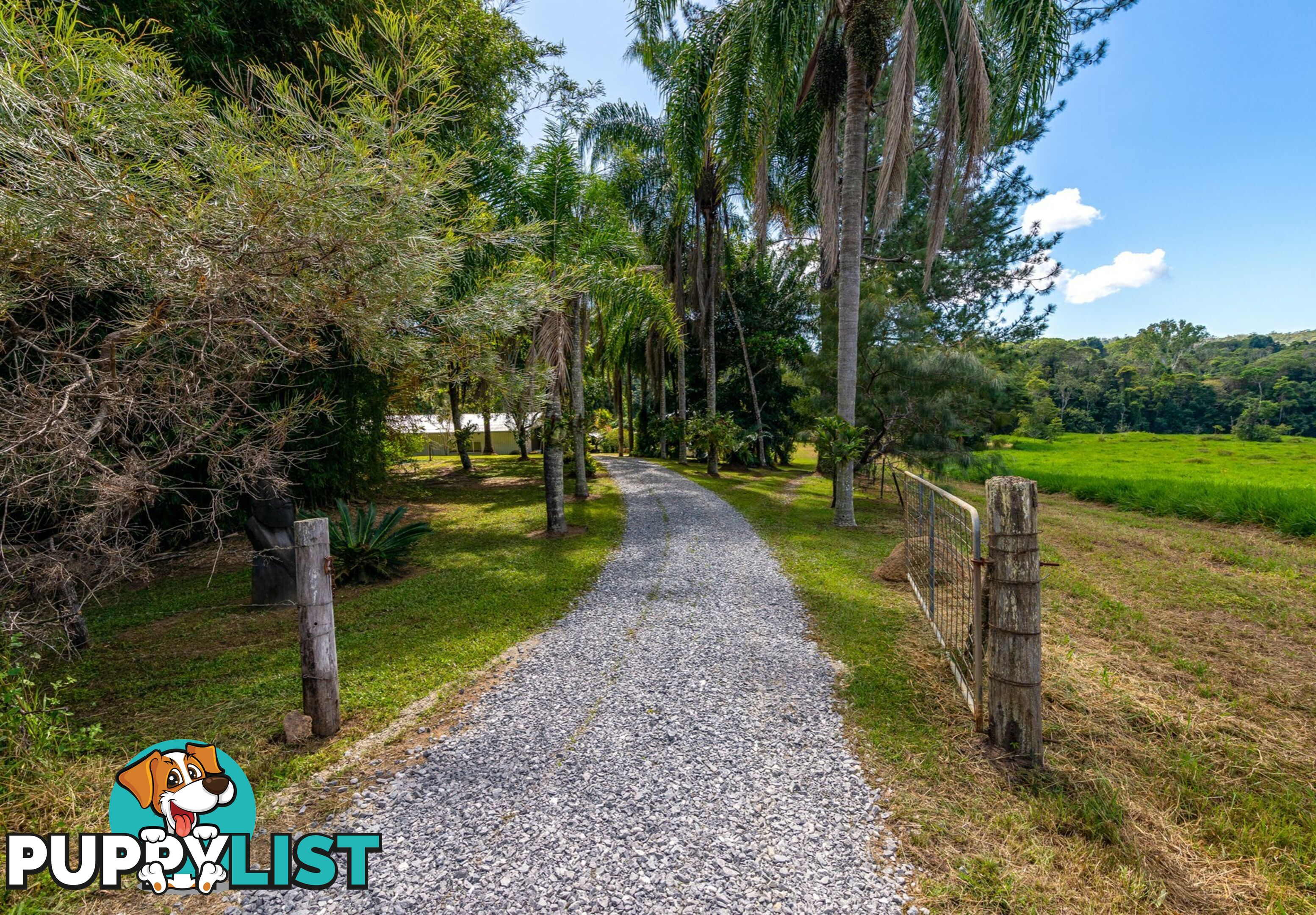 4414 Black Mountain Road JULATTEN QLD 4871