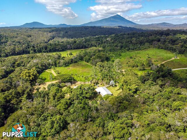 4414 Black Mountain Road JULATTEN QLD 4871