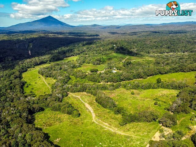 4414 Black Mountain Road JULATTEN QLD 4871