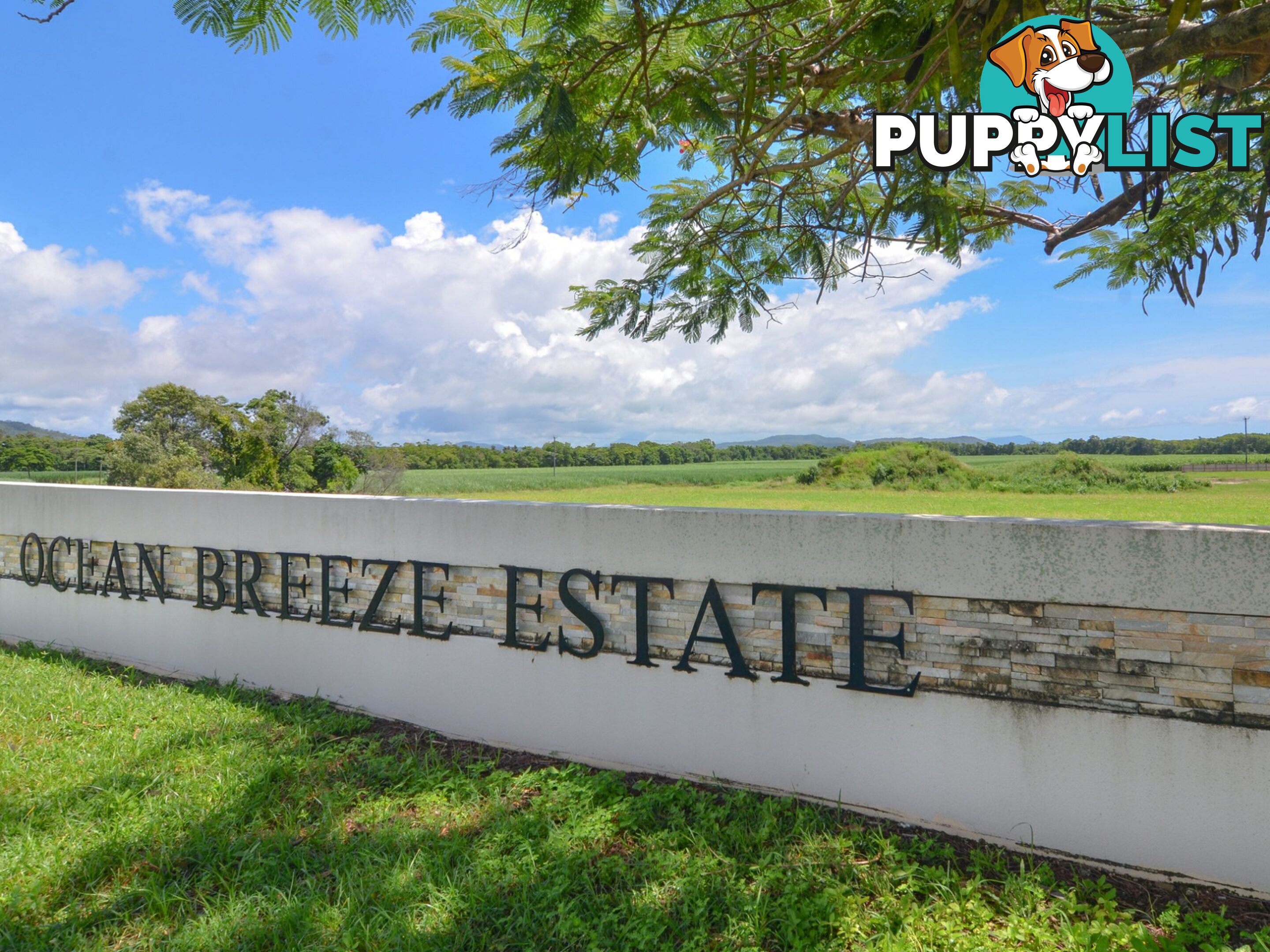 Lot 230 Ocean Breeze Estate COOYA BEACH QLD 4873