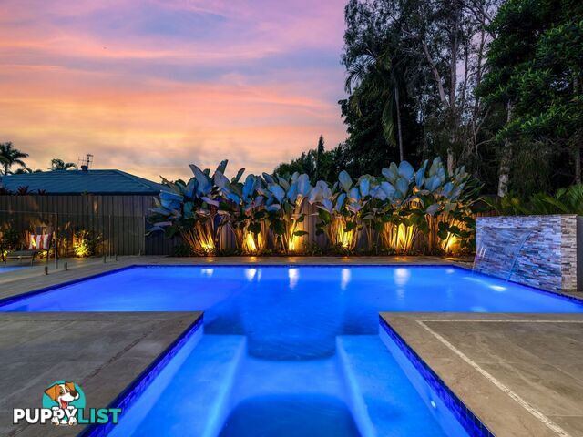 16 Birdwing Street PORT DOUGLAS QLD 4877