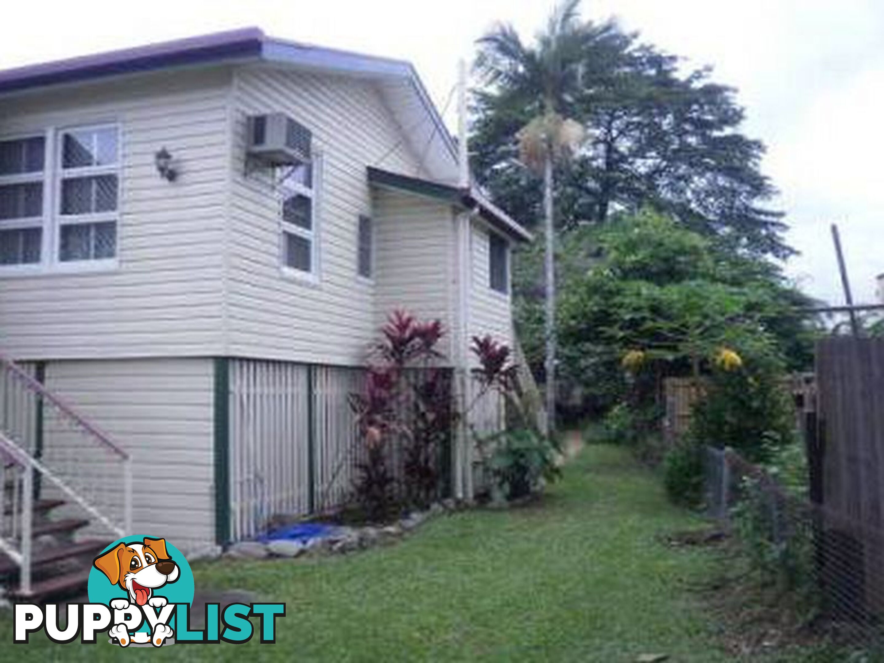 3 Wilson Street MOSSMAN QLD 4873