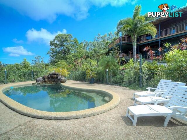 74 Mahogany Road Diwan DAINTREE QLD 4873